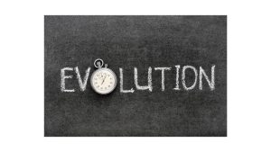 A Complete Look at the Evolution of Driver Education Programs